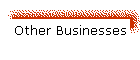 Other Businesses