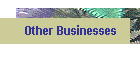 Other Businesses